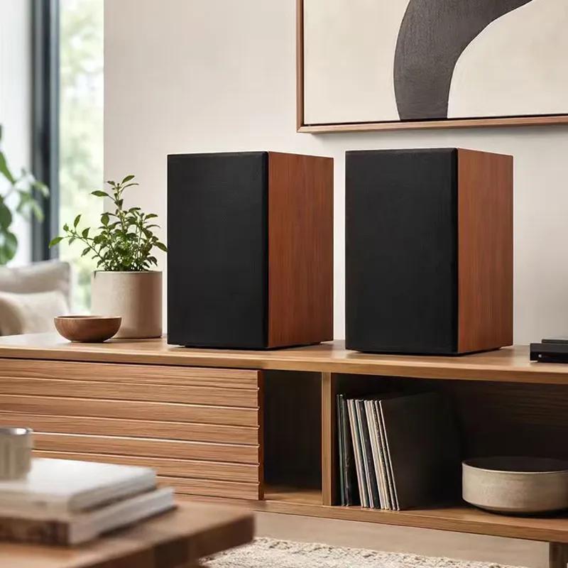 Computer Speakers