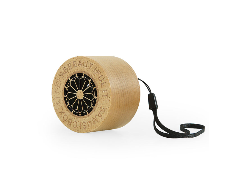 ZTZ020 Portable Bluetooth Speaker