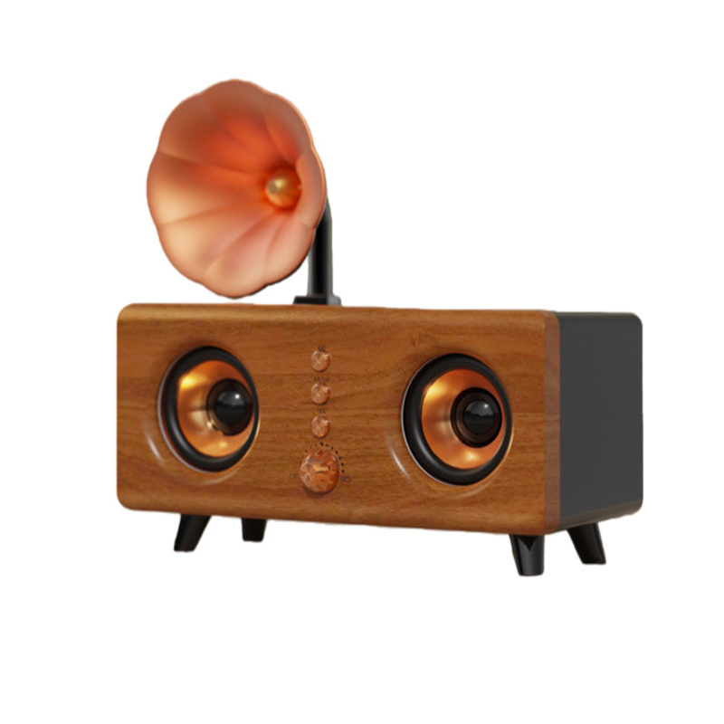 ZTZB161 Portable Bluetooth Speaker