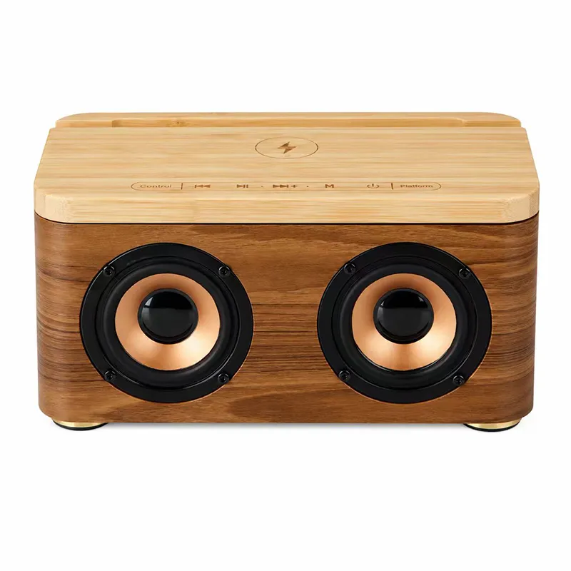 Timber Speaker XianSpeaker ZTZ-M100