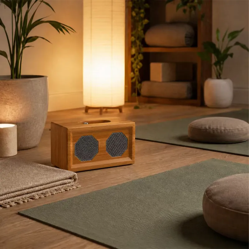 ZTZ003 Portable Bluetooth Speaker
