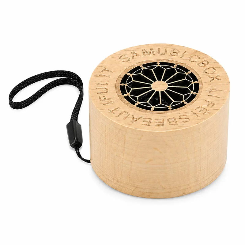 ZTZ020 Portable Bluetooth Speaker