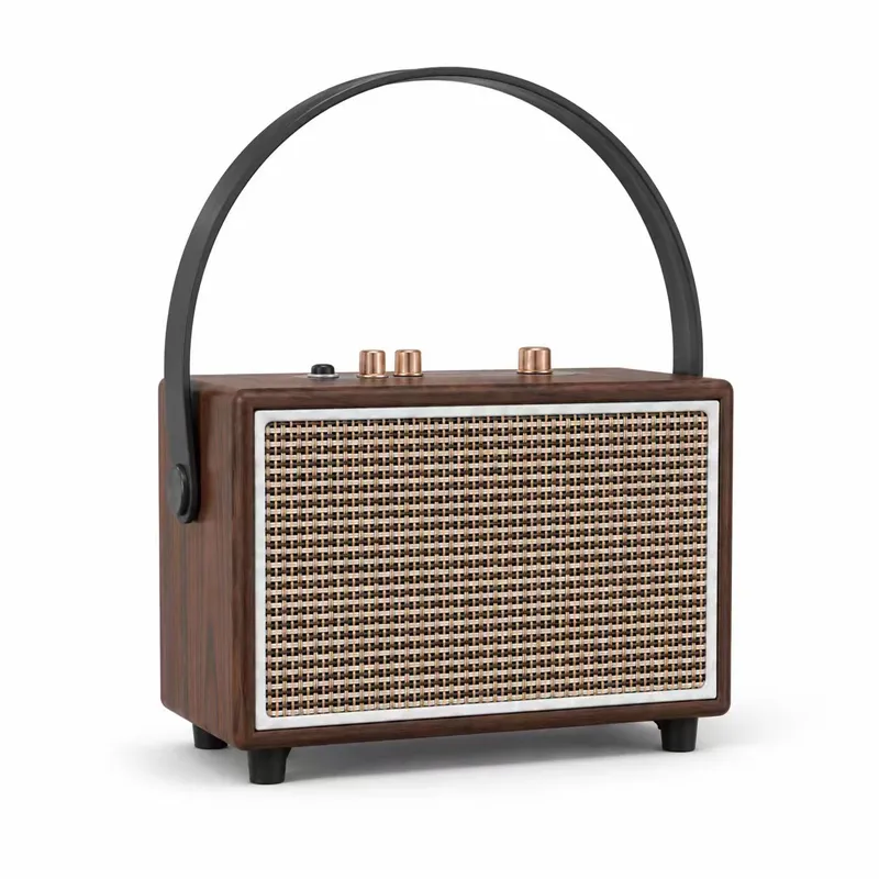 ZTZ024 Portable Bluetooth Speaker