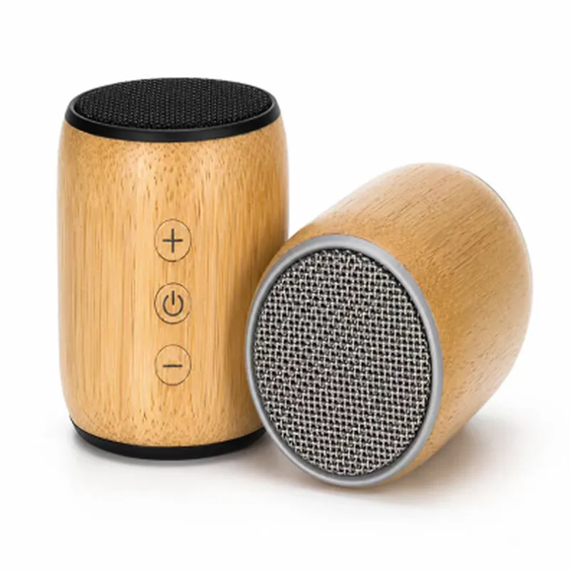 Bamboo Speaker