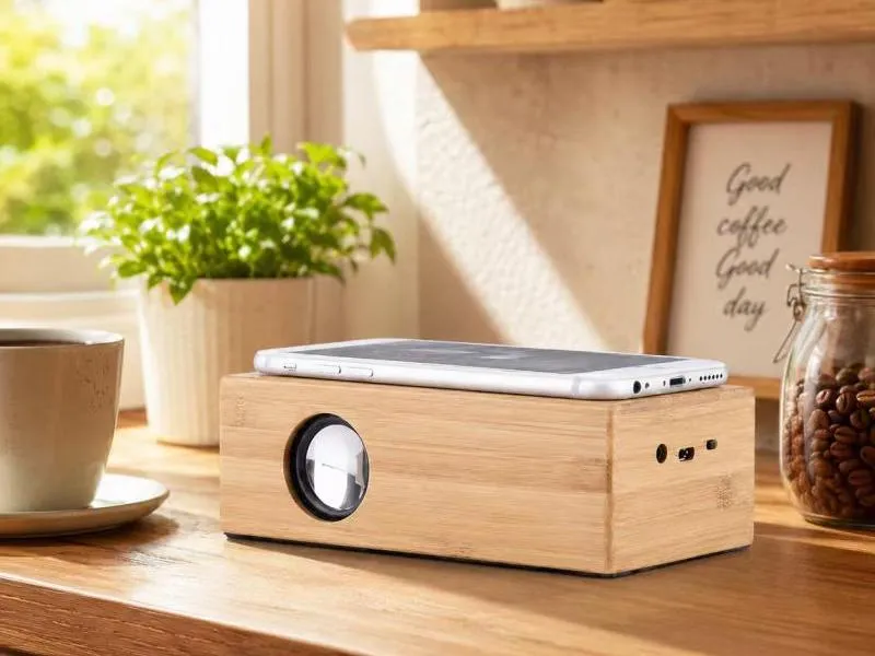 Description of ZTZ033 Natural Wooden Induction Speaker